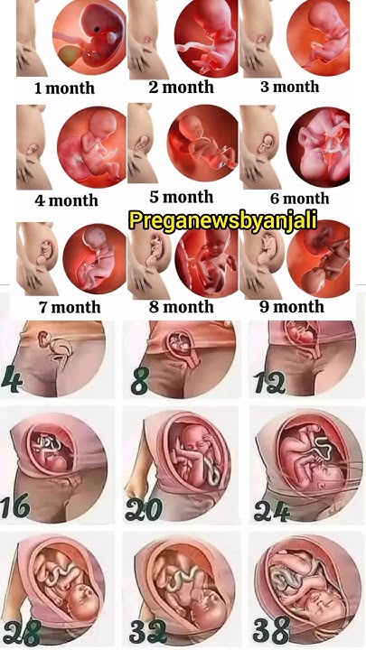 10 Pregnancy Photographer in New York Neighborhoods