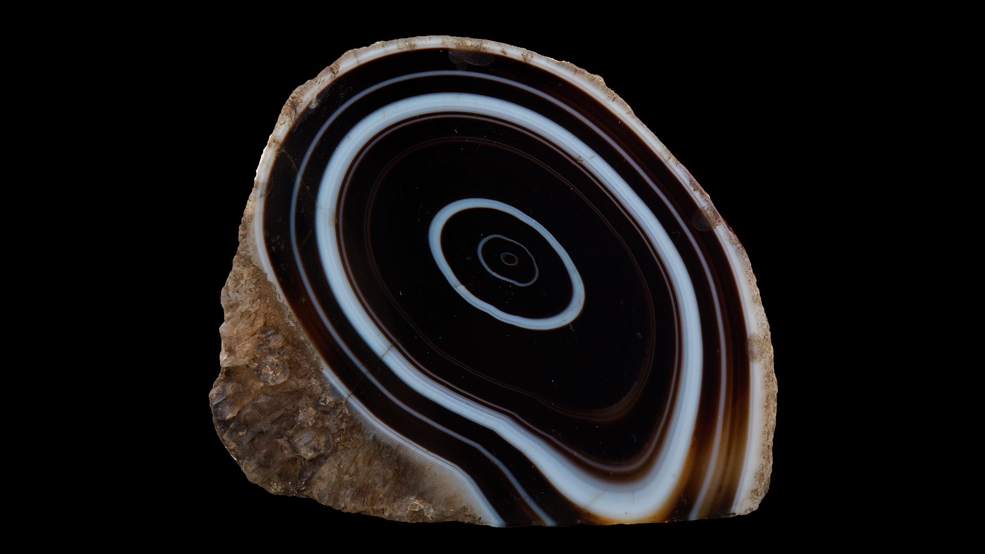 10 Onyx Storm Release Party in New York Neighborhoods