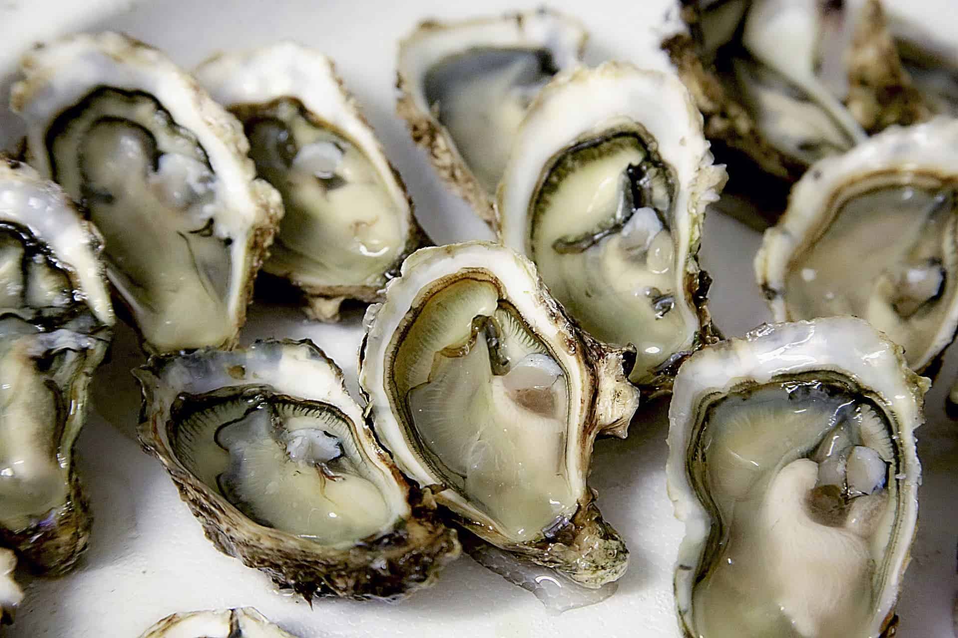 10 Oyster Specials in New York Neighborhoods
