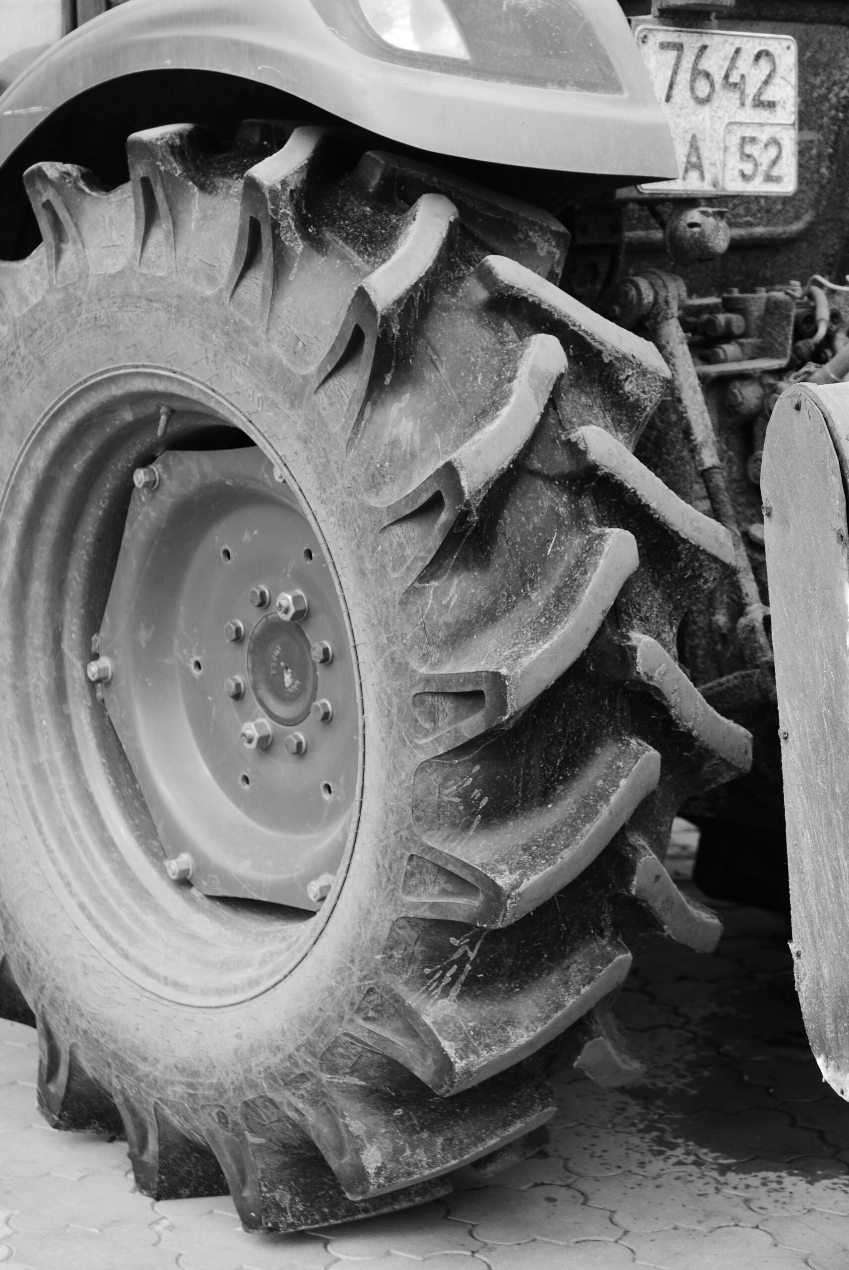 10 Tractor Tires in New York Neighborhoods