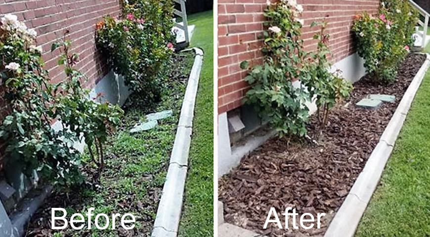 10 Weeding in New York Neighborhoods