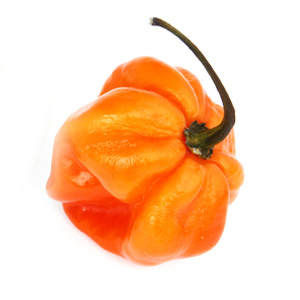 10 Scotch Bonnet Peppers in New York Neighborhoods