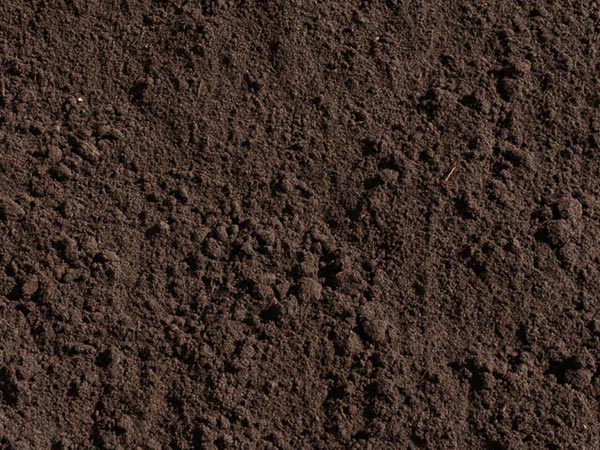 10 Screened Topsoil in New York Neighborhoods