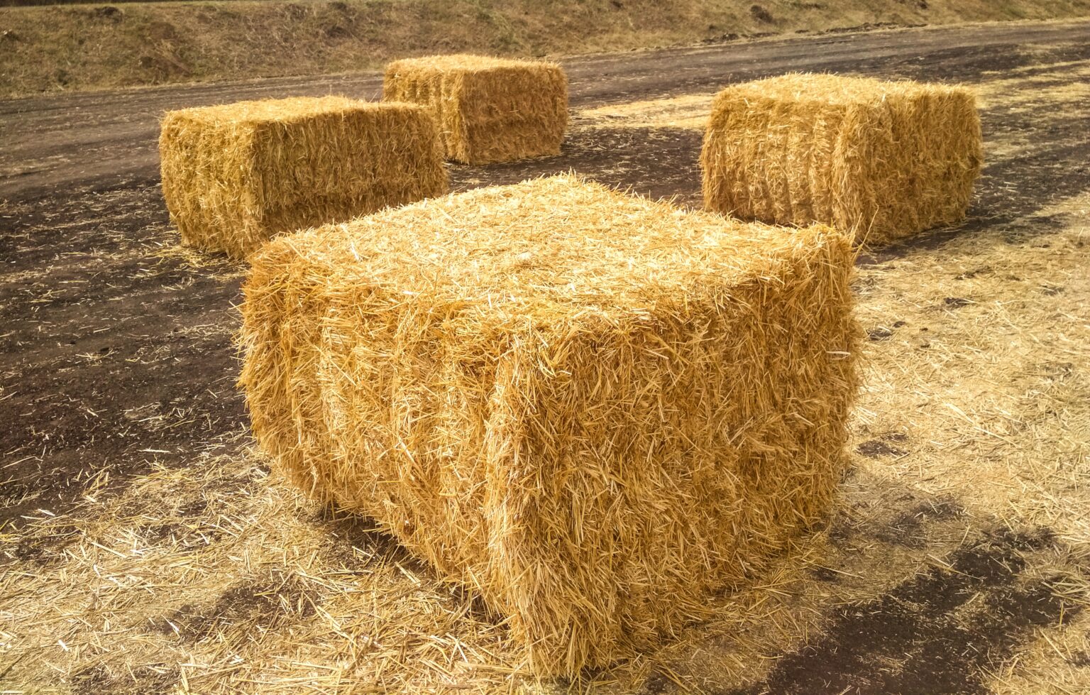 10 Hay Sales in New York Neighborhoods