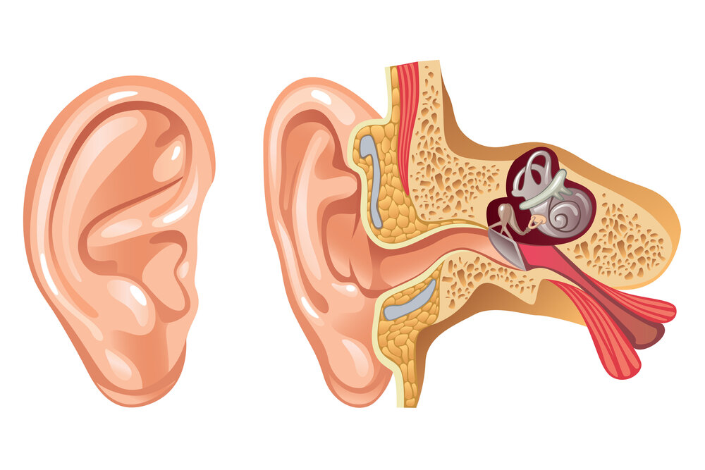 10 Ear Wax Removal in New York Neighborhoods