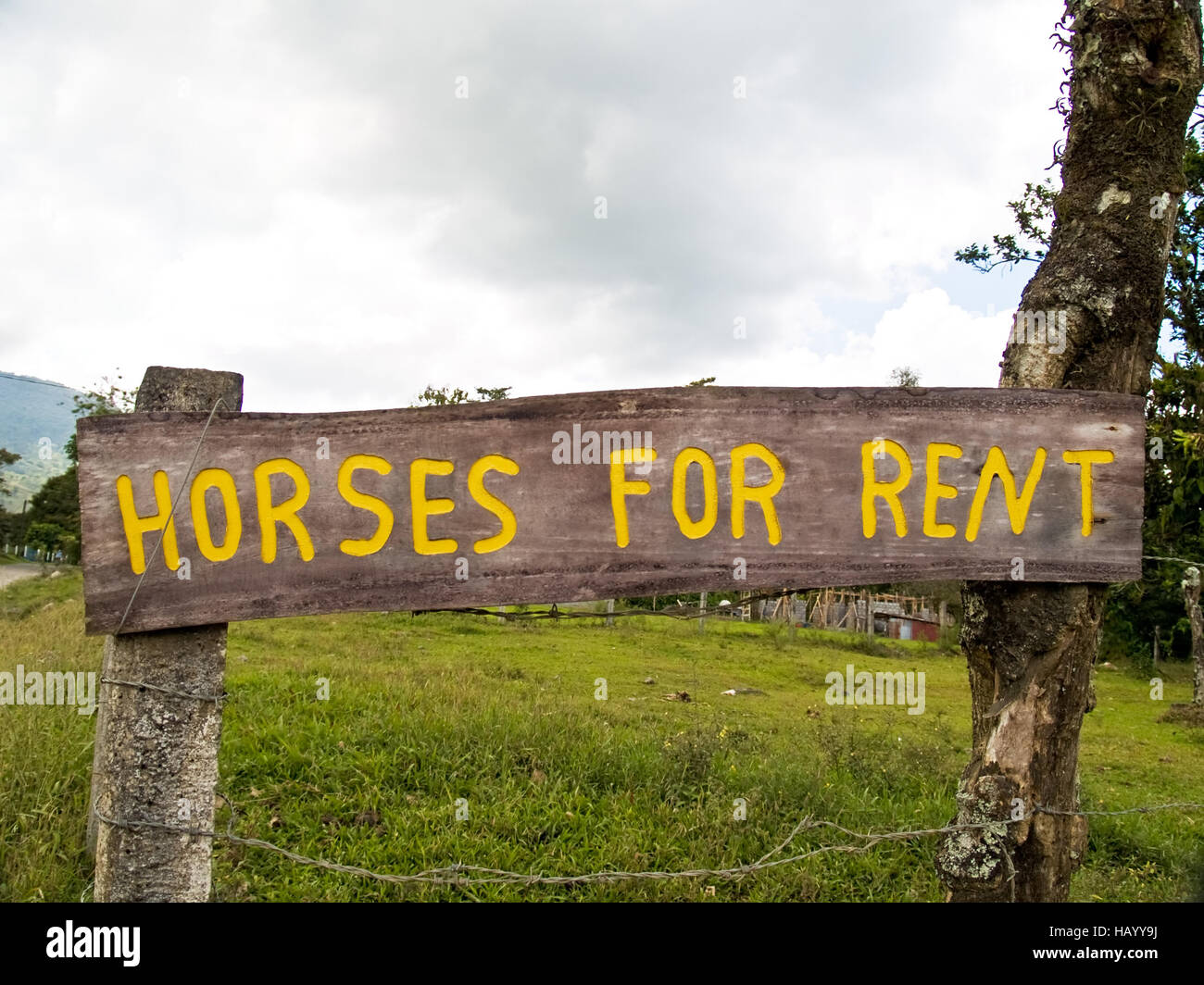 10 Horses For Rent in New York Neighborhoods