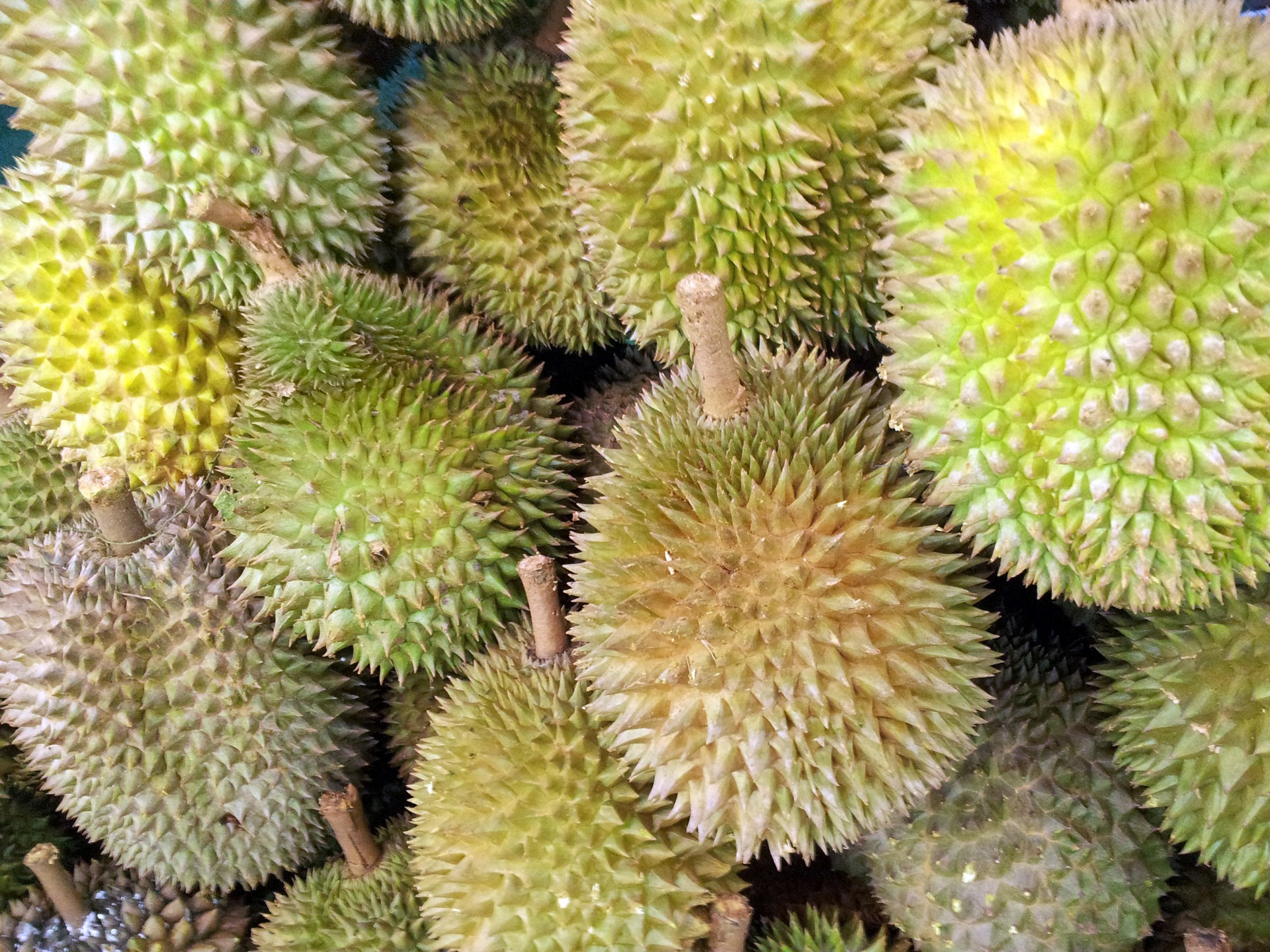 10 Durian in New York Neighborhoods