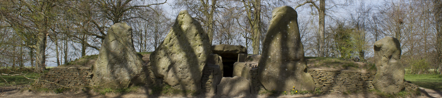 10 Wayfield in New York Neighborhoods