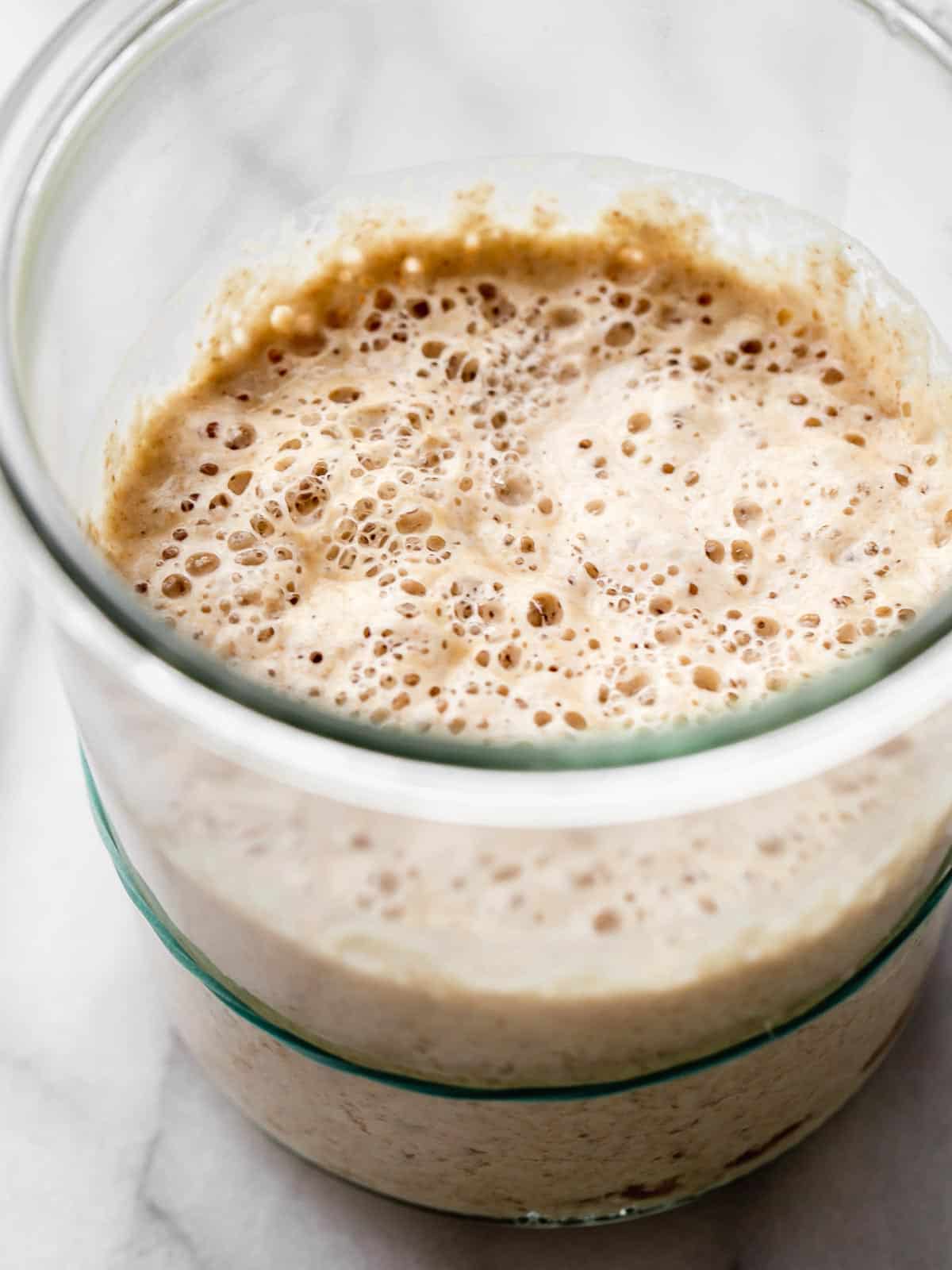 10 Sourdough Starter in New York Neighborhoods