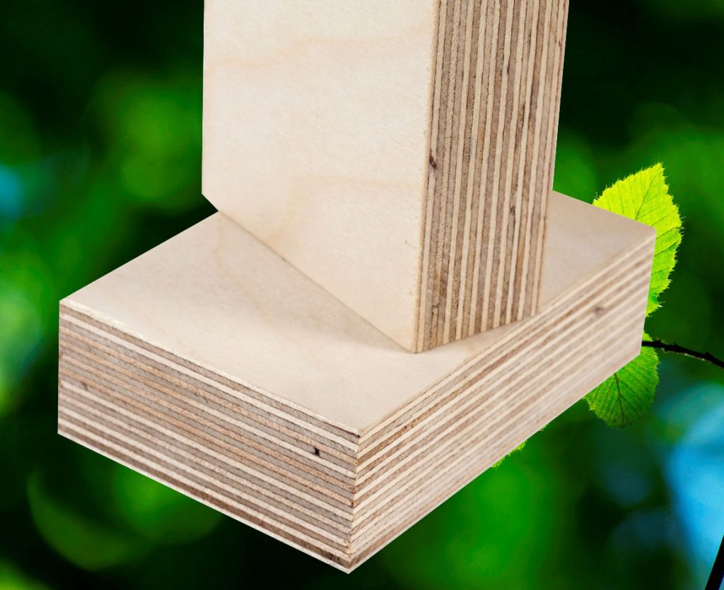 10 Baltic Birch Plywood in New York Neighborhoods