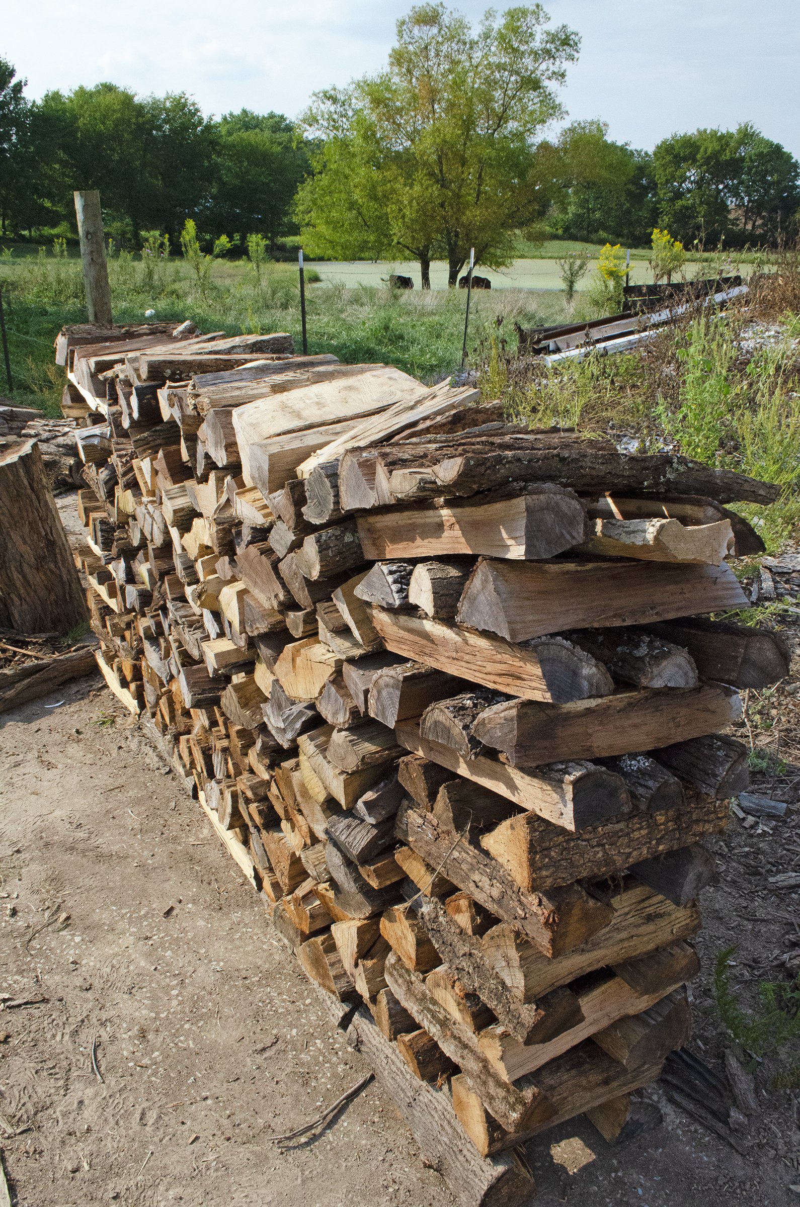 10 Firewood Sale in New York Neighborhoods