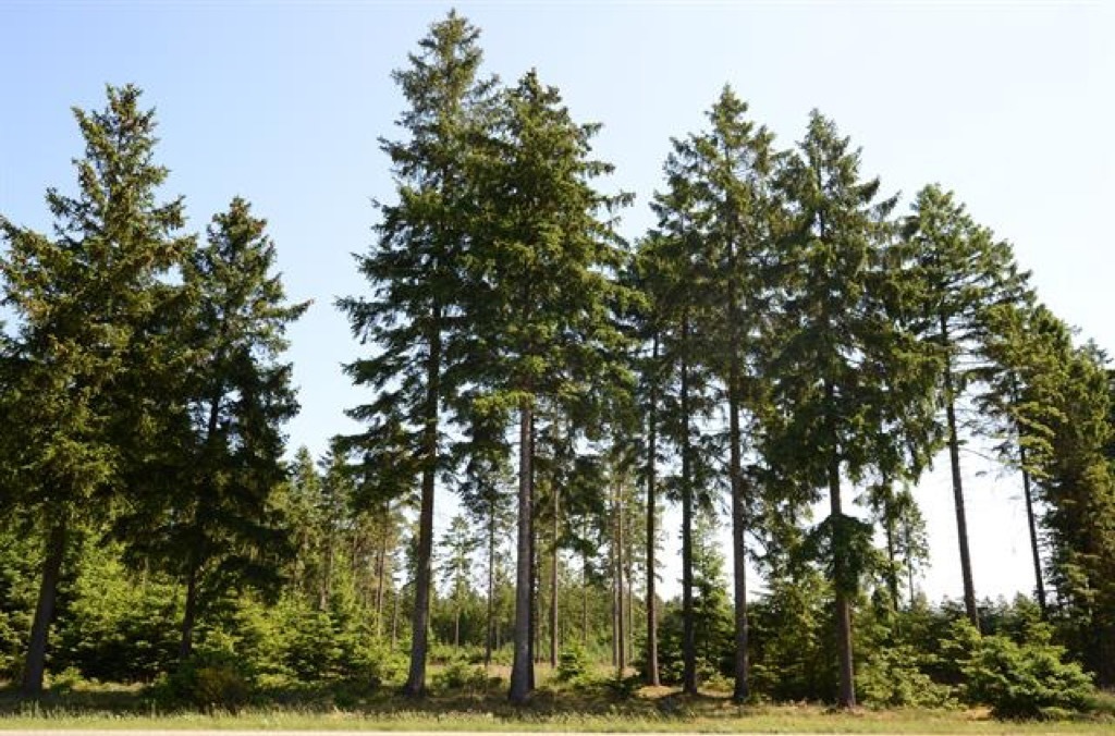 10 Gran Malo Tequila in New York Neighborhoods