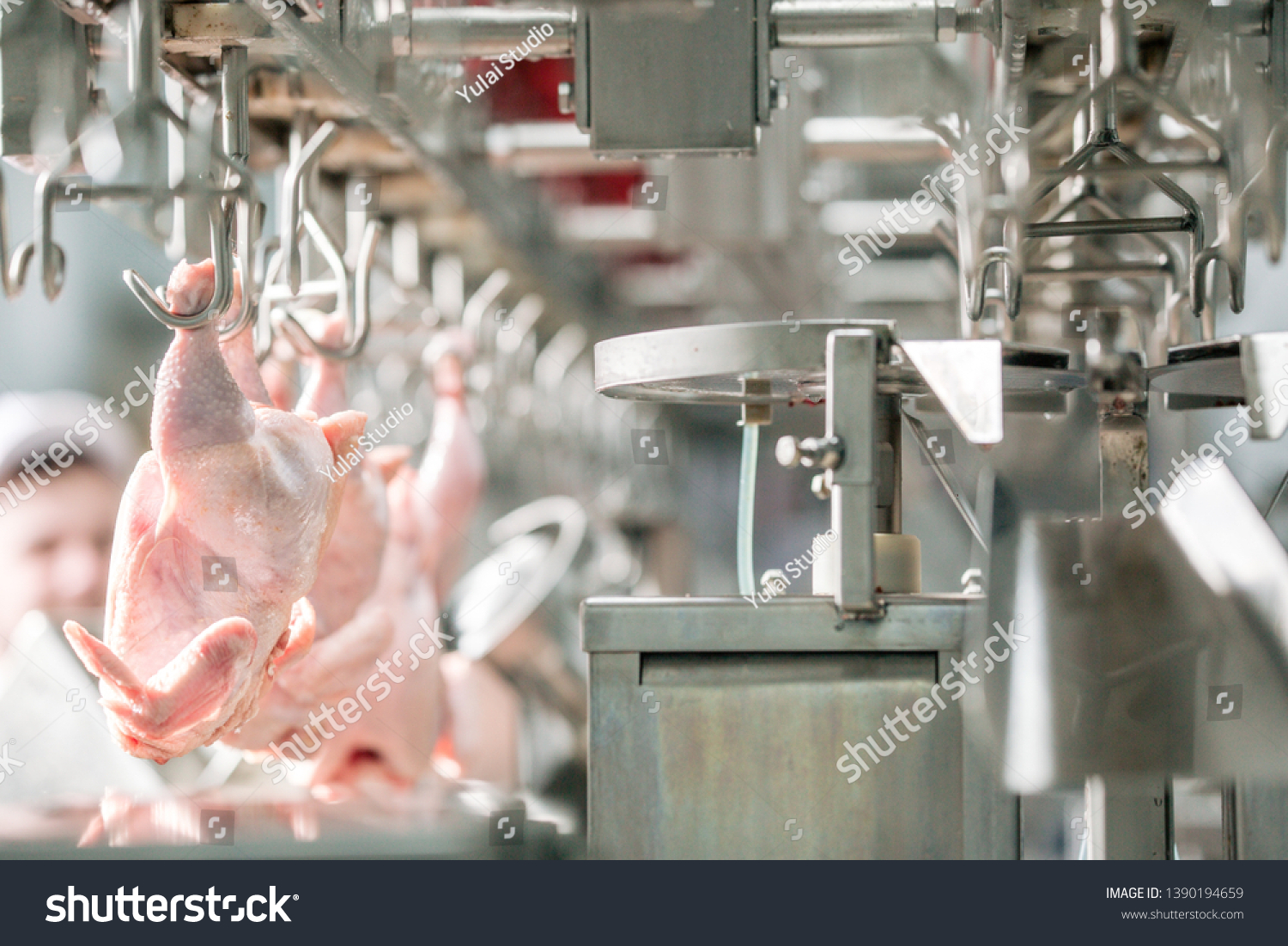 10 Chicken Processing in New York Neighborhoods