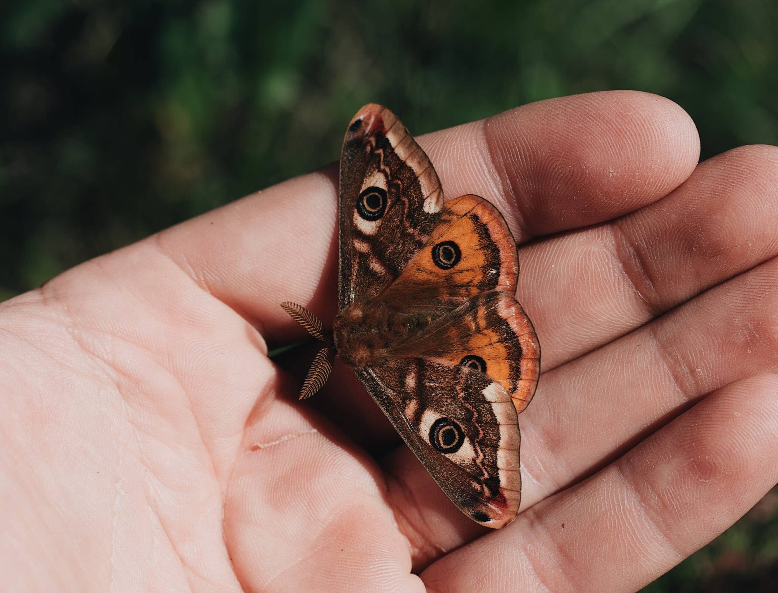 10 Taxidermist in Los Angeles Neighborhoods