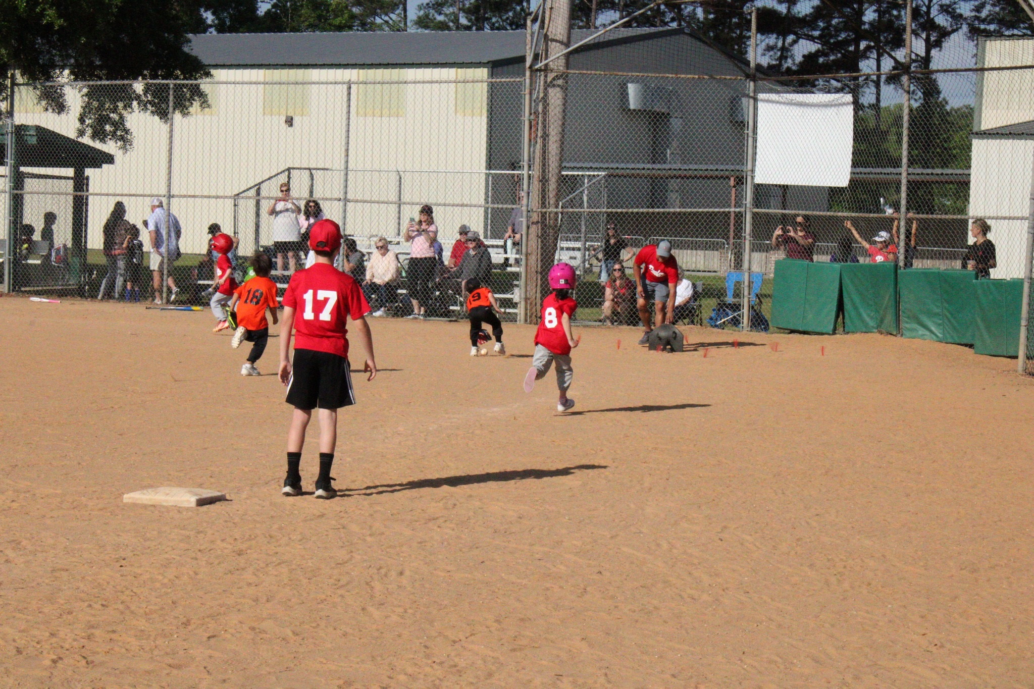 10 Tball in New York Neighborhoods