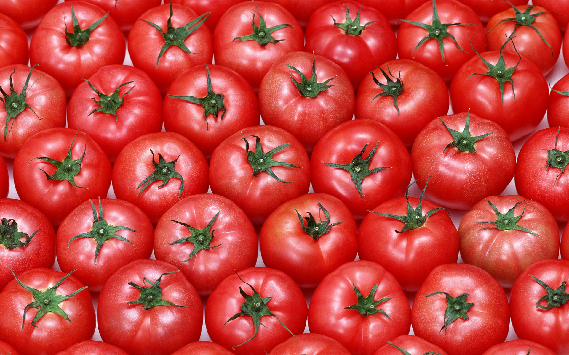 10 Tomatoes in New York Neighborhoods