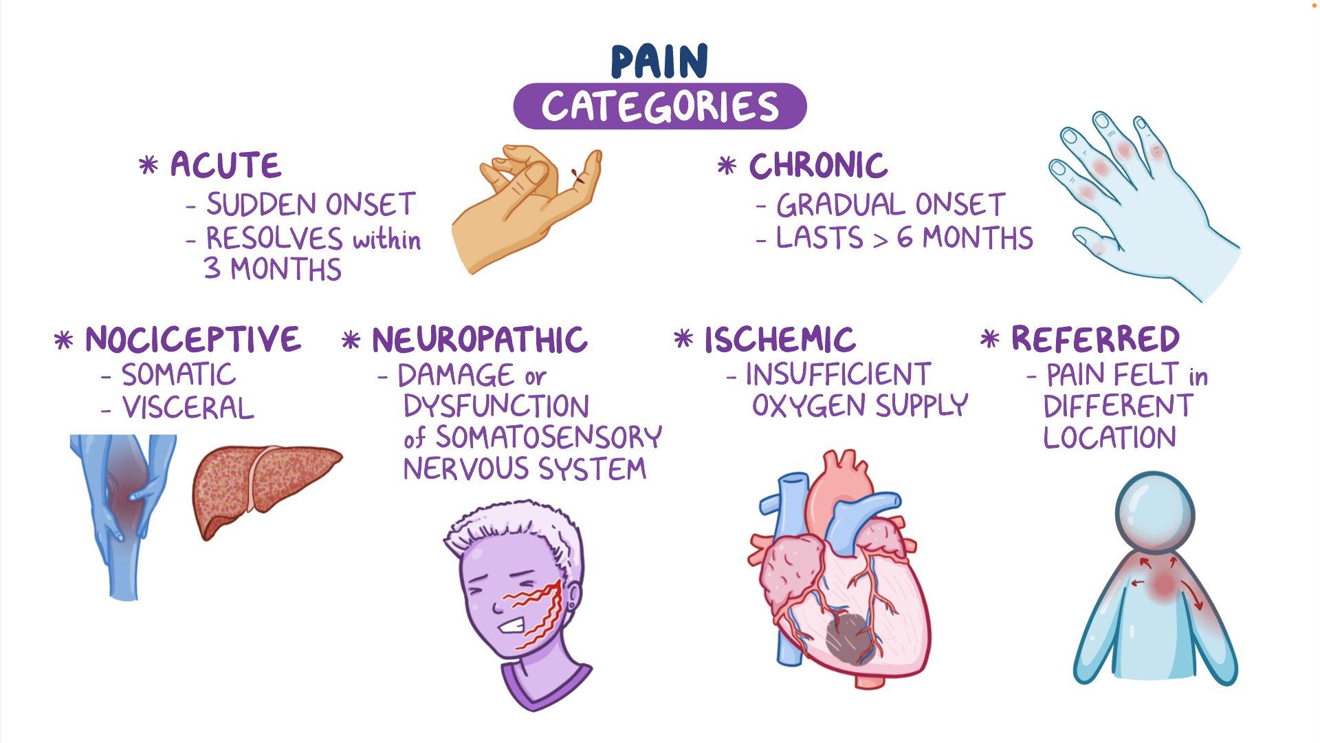 10 Pain Quotidien in New York Neighborhoods