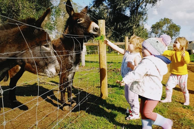 10 Kid Friendly Things To Do in New York Neighborhoods