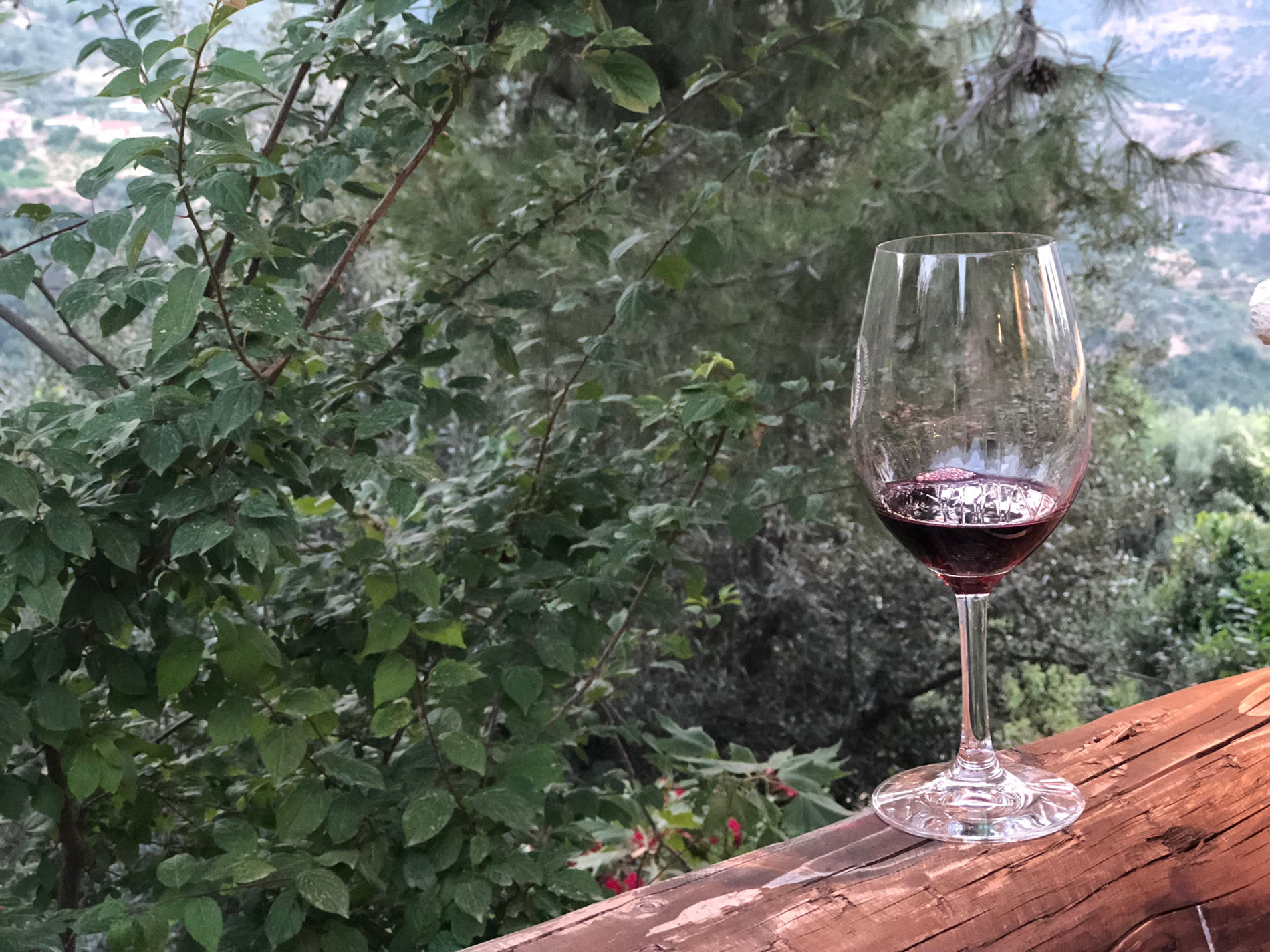 10 Natural Wines in New York Neighborhoods