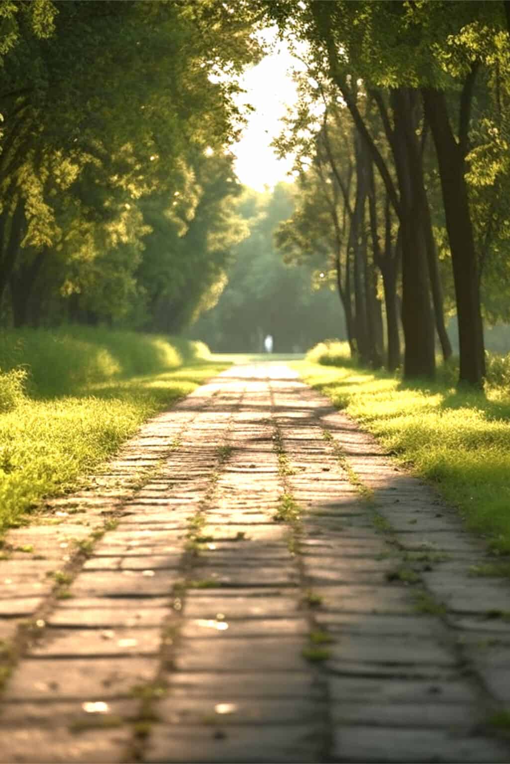 10 Good Places To Walk in New York Neighborhoods