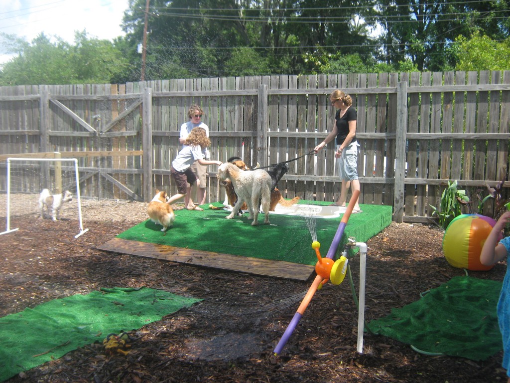 10 Doggie Water Park in New York Neighborhoods