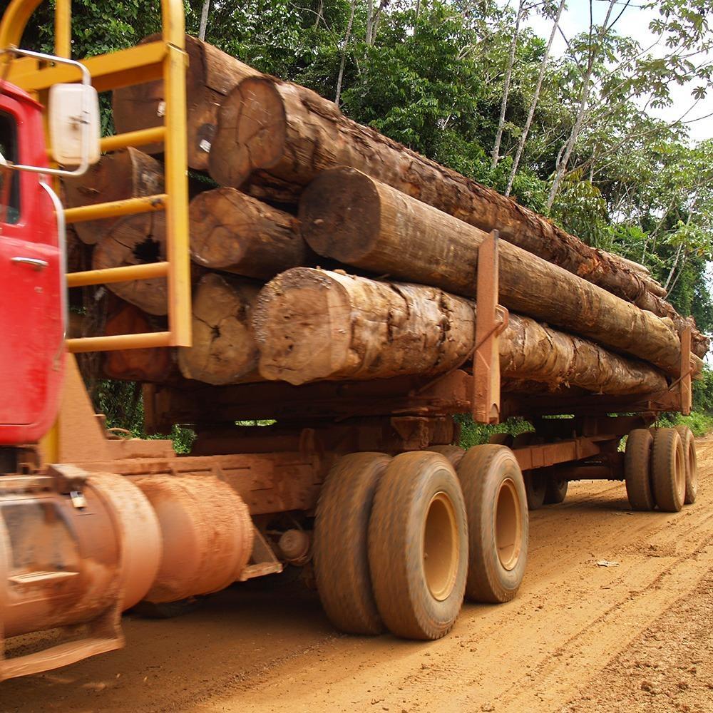 10 Wood Delivery in New York Neighborhoods