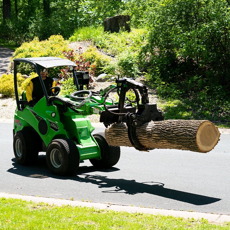 10 Woodchuck Removal in New York Neighborhoods