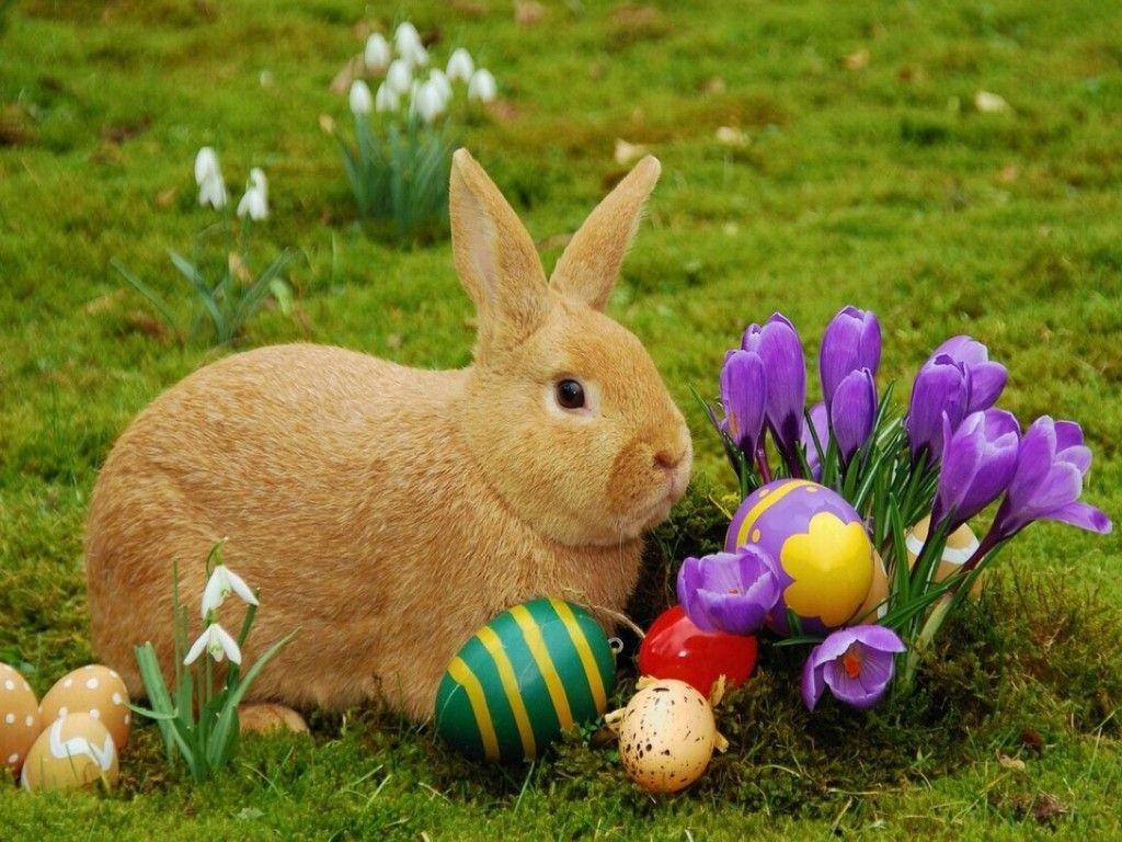 10 Easter Bunny in New York Neighborhoods